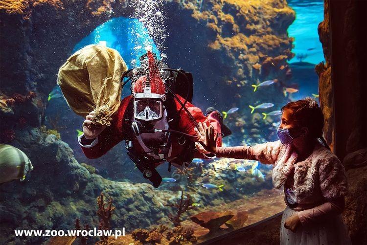 fot. Materiały prasowe/wrocławskie zoo