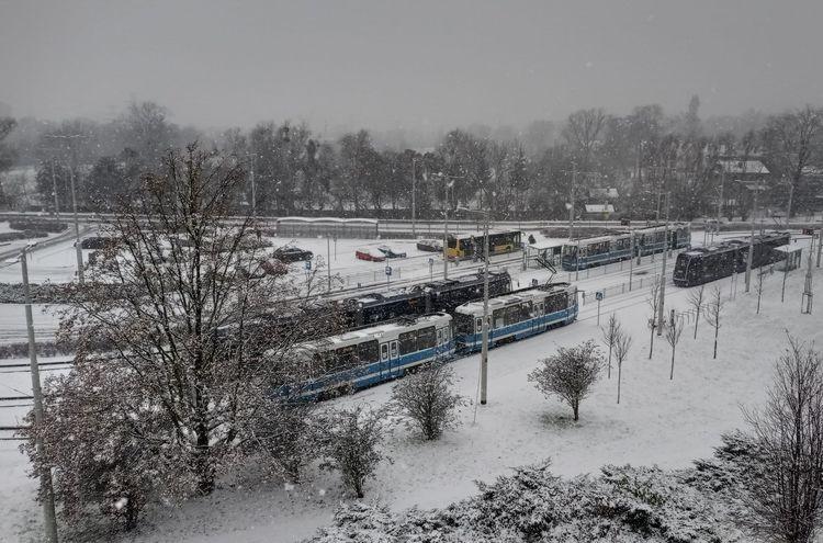fot. Bartosz Senderek
