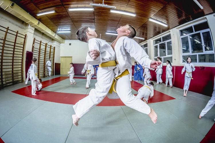 fot. Judo Tigers