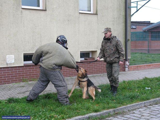 mat. dolnośląskiej policji