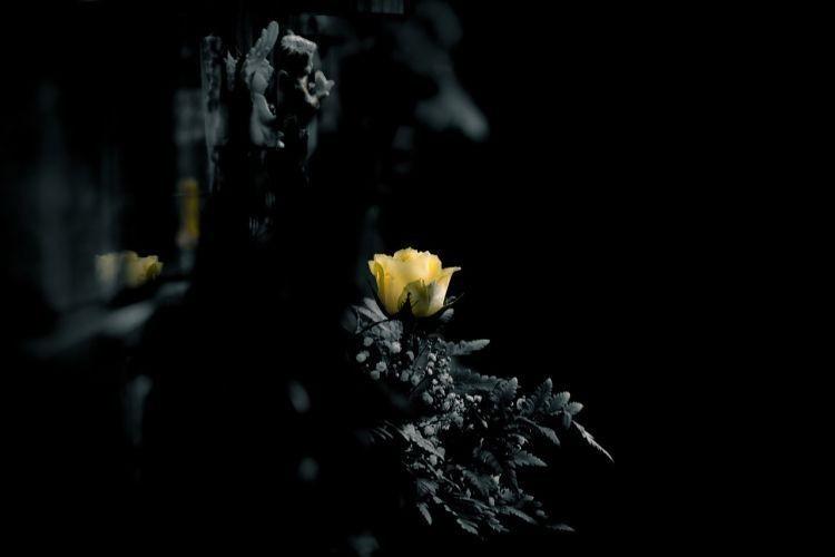 fot. adobeStock.com