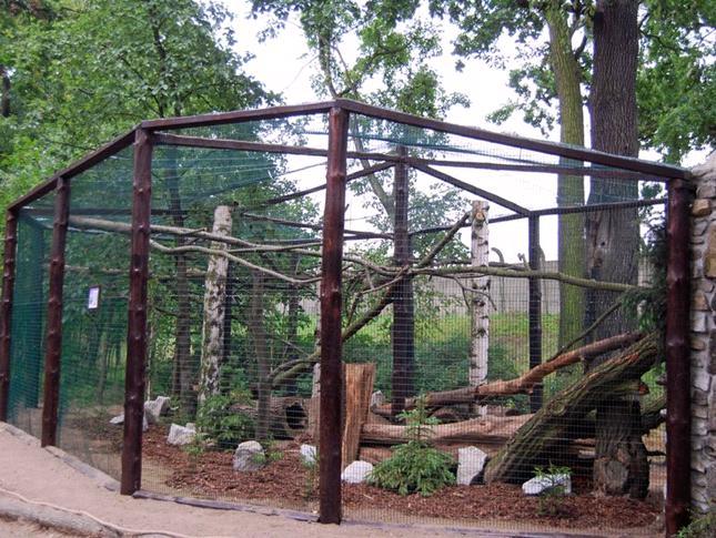 zoo.wroclaw.pl