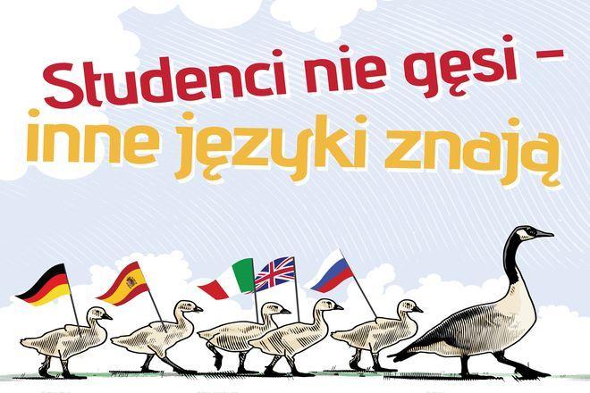 materiały organizatora 