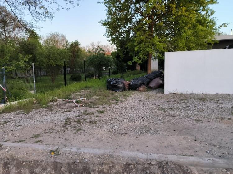 fot. Zdjęcie nadesłane przez czytelnika