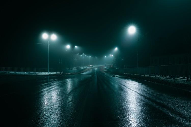 fot. Adobe Stock