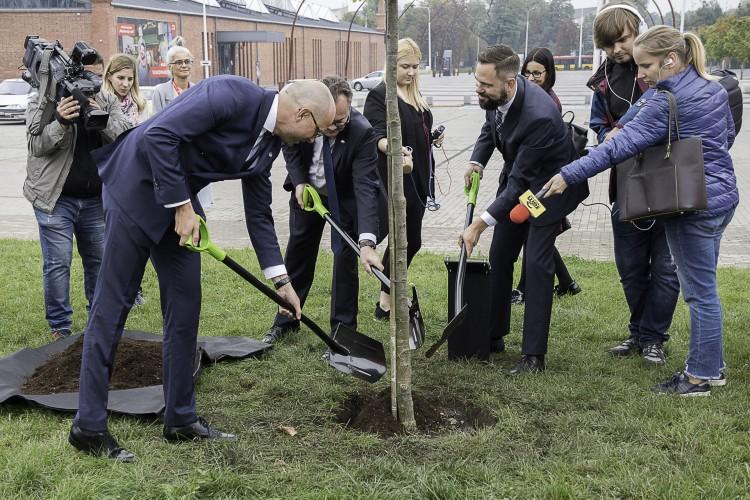 fot. materiały prasowe