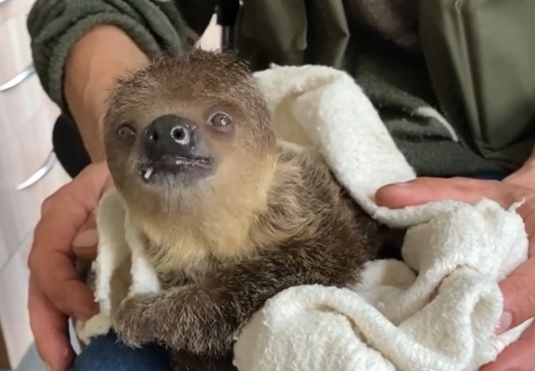 fot. Zoo Wrocław