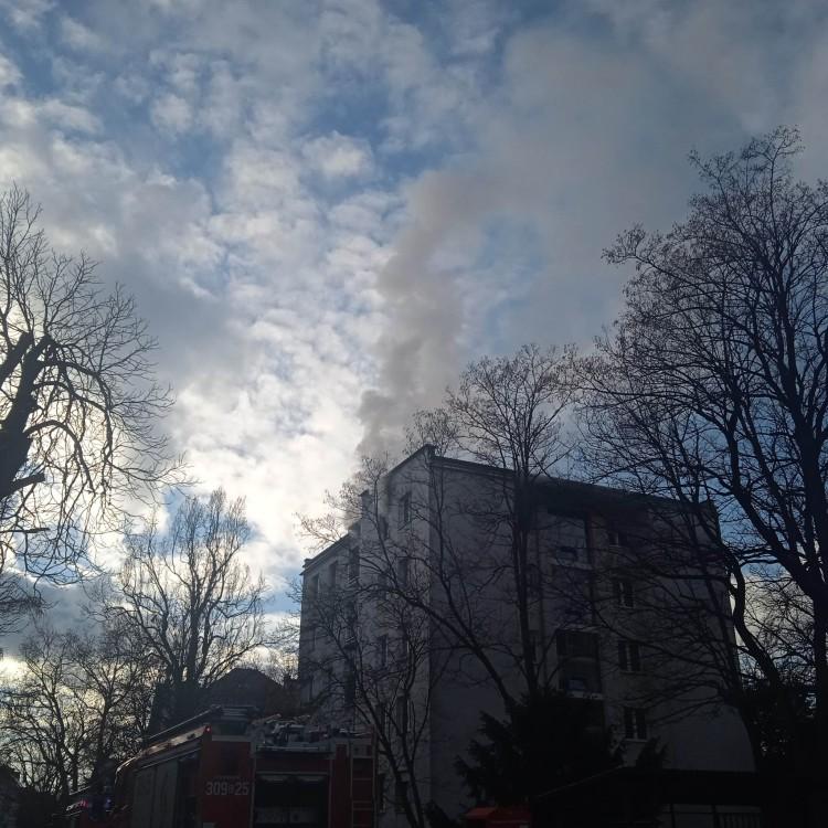 fot. Elżbieta Goman