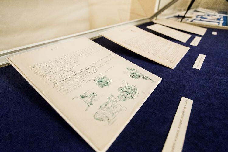 fot. Magda Pasiewicz