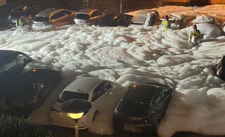fot. Grupa Moje Psie Pole