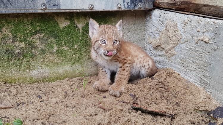 fot. ZOO Wrocław