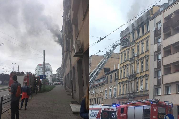 fot. Czytelniczka