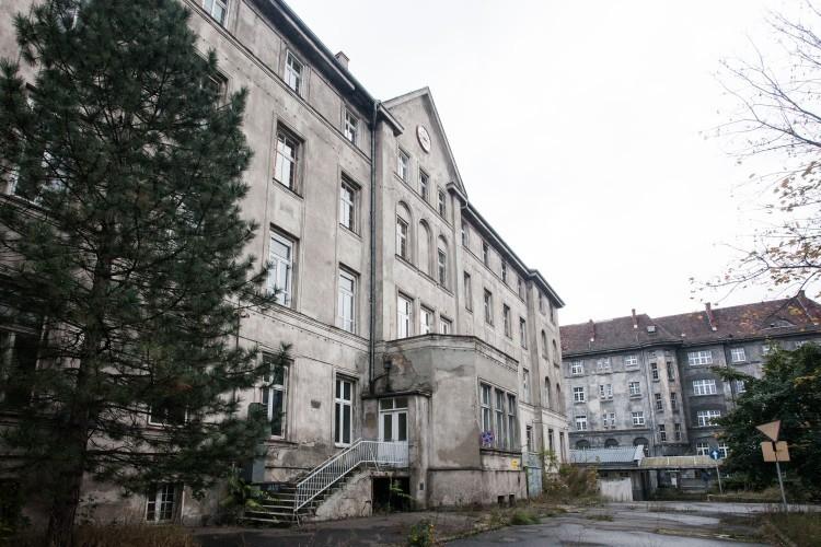 fot. Magda Pasiewicz/archiwum