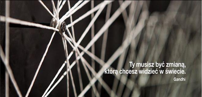 materiały organizatora