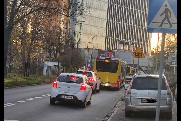 fot. Domin Leszczyna