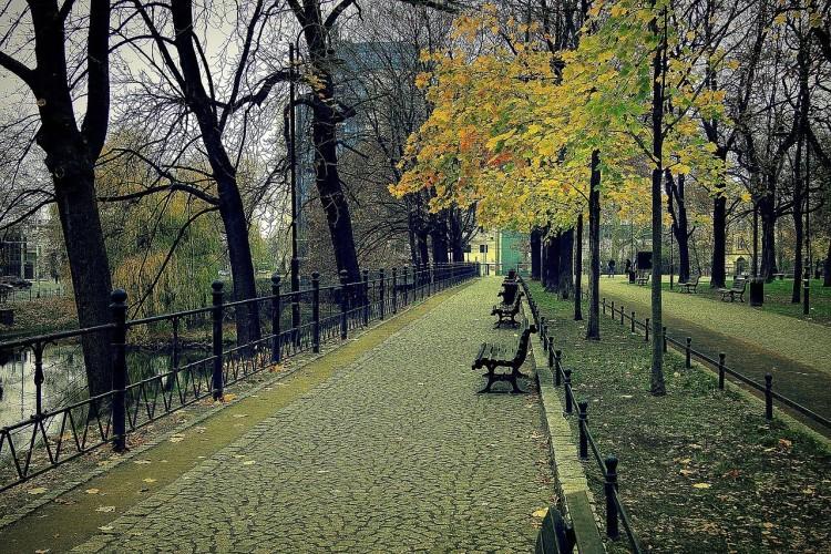 fot. Pixabay