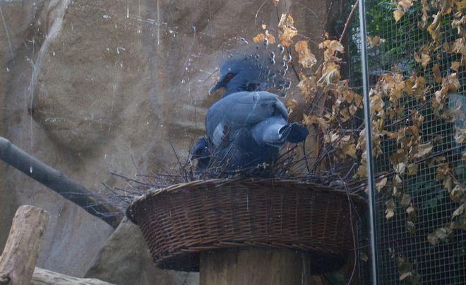 ZOO Wrocław