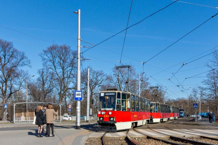fot. M. Kwietniak
