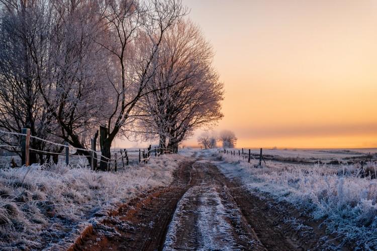 fot. Adobe Stock