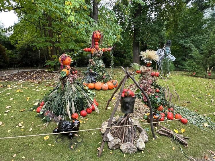 fot. Ogród Botaniczny Uniwersytetu Wrocławskiego