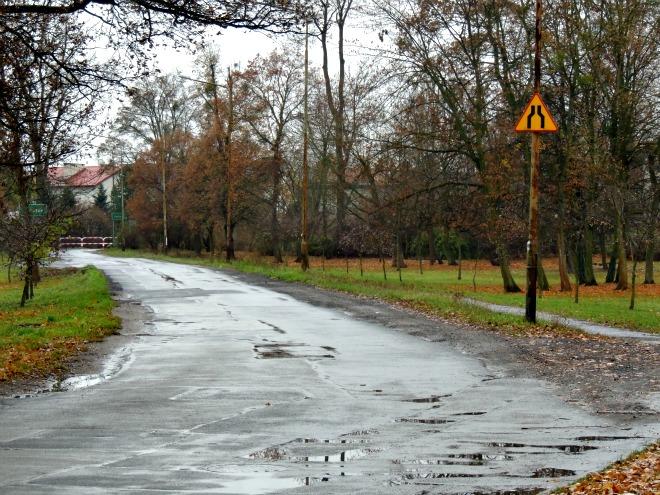 czytelniczka
