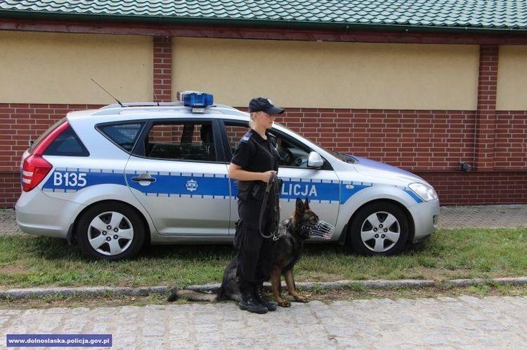fot. Dolnośląska Policja