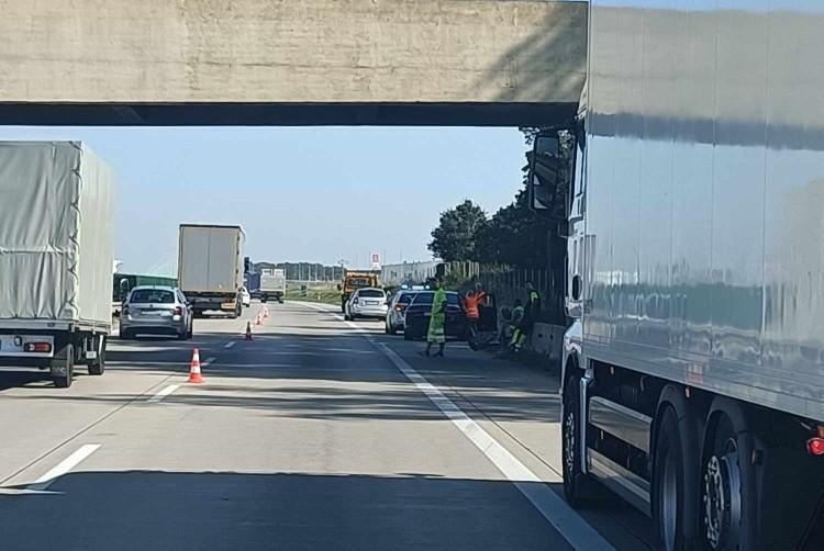 fot. Zdjęcie nadesłane przez czytelnika