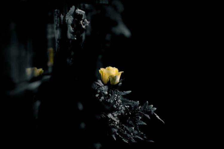 fot. adobeStock.com