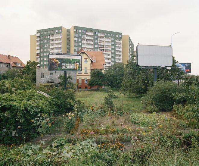 P. Kreibich