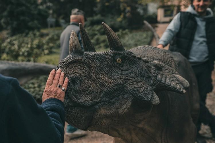 fot. Alina Metelytsia/Ogród botaniczny UWr