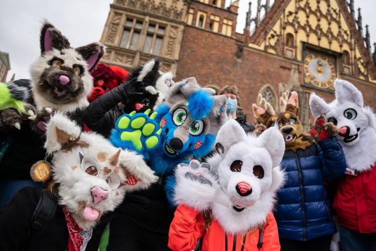 fot. Wrocławskie Futrzaki