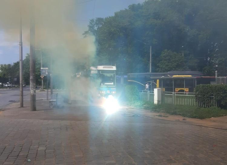 fot. Zdjęcie nadesłane przez czytelnika