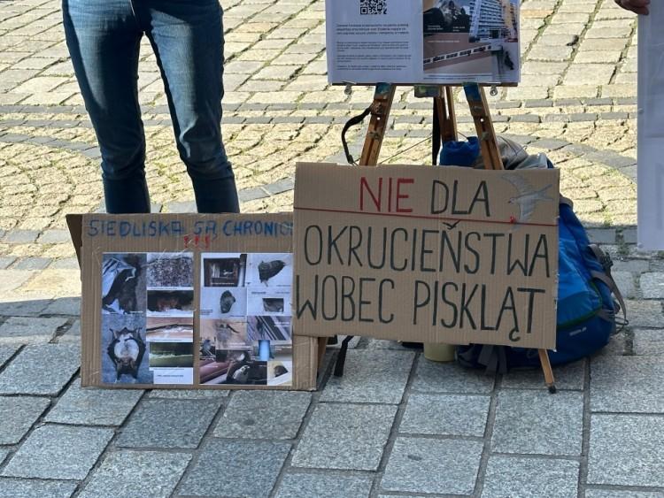 fot. Askaniusz Polcyn