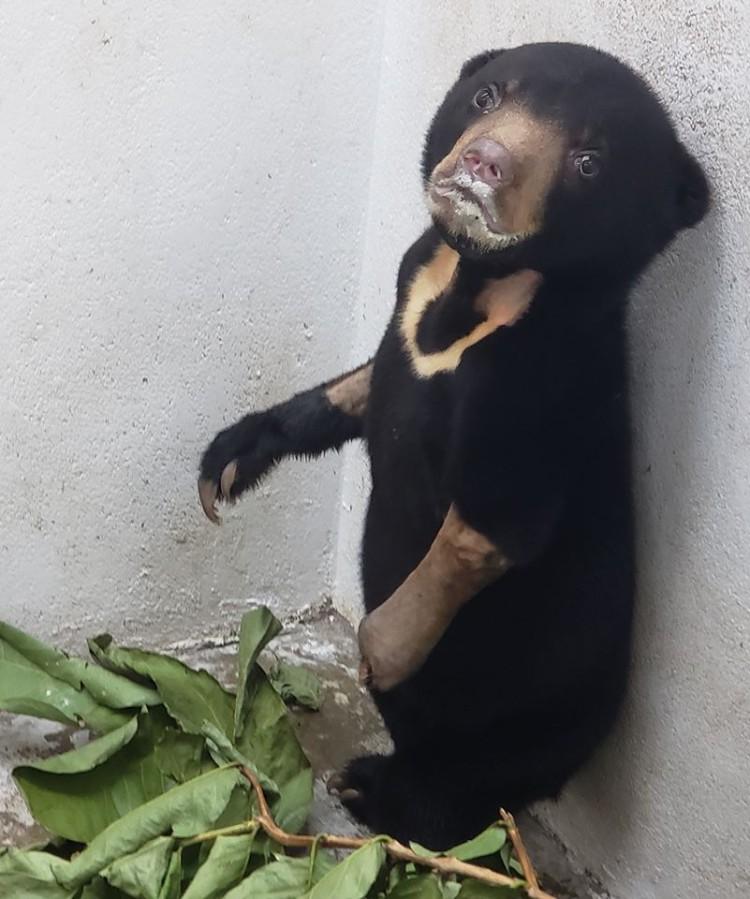 fot. ZOO Wrocław