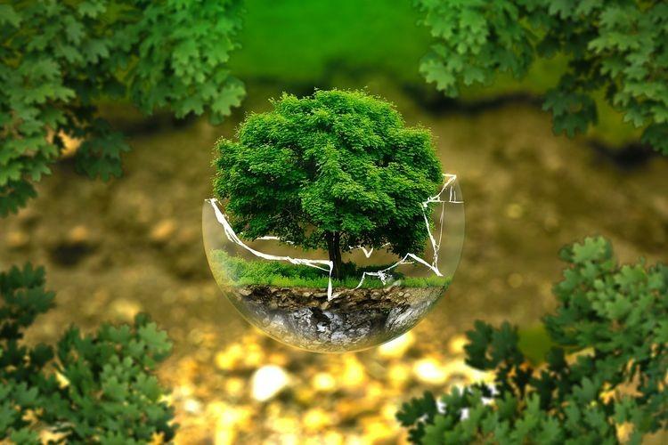 fot. Fot. ilustracyjne/pixabay