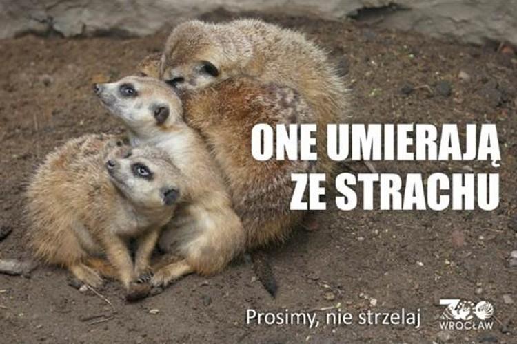 fot. ZOO Wrocław