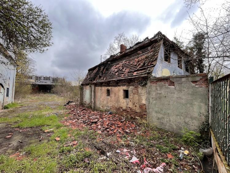fot. Jakub Jurek