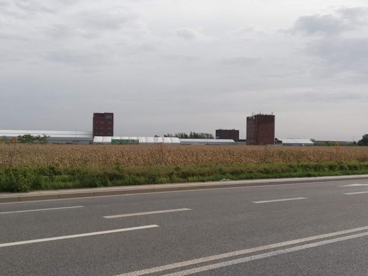 fot. Bartosz Królikowski