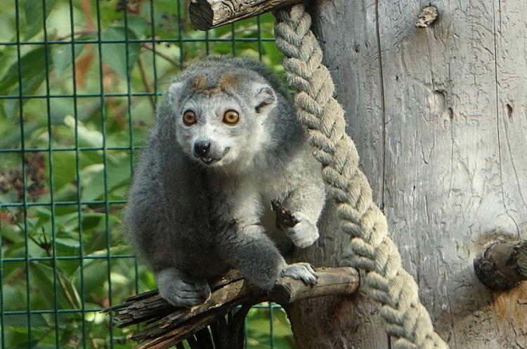 fot. ZOO WROCŁAW