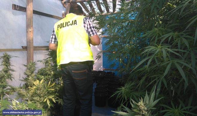 mat. dolnośląskiej policji