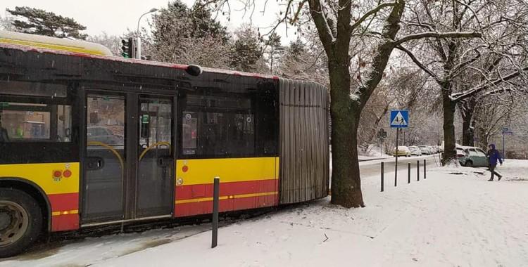 fot. Zdjęcie nadesłane przez czytelnika