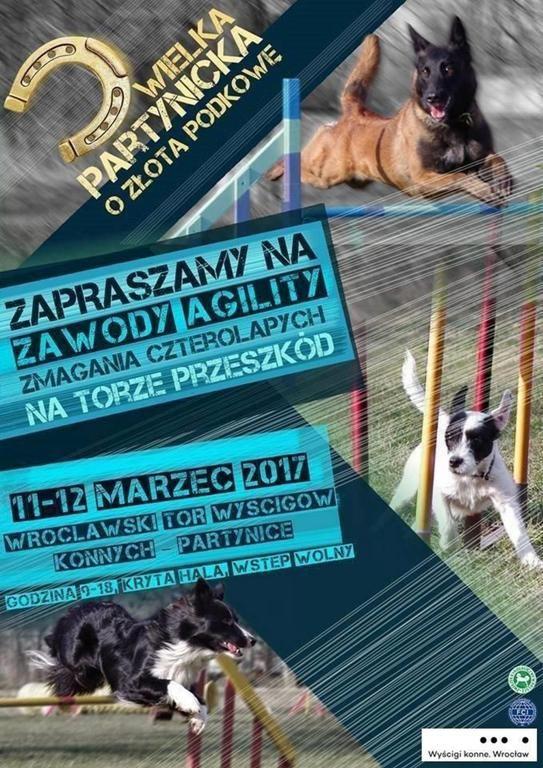 fot. Materiały Prasowe
