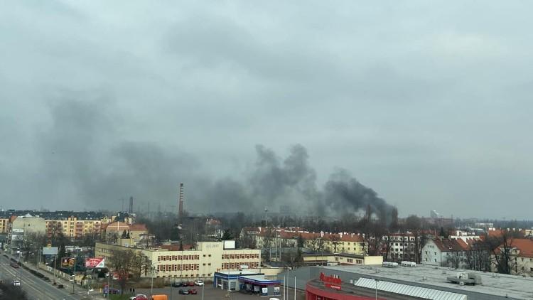 fot. Zdjęcie nadesłane przez czytelnika