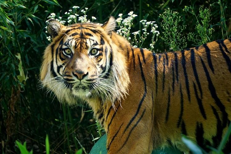 fot. ZOO Wrocław