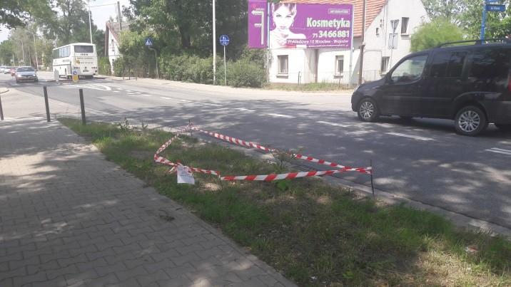 fot. mat. Straży Miejskiej Wrocławia