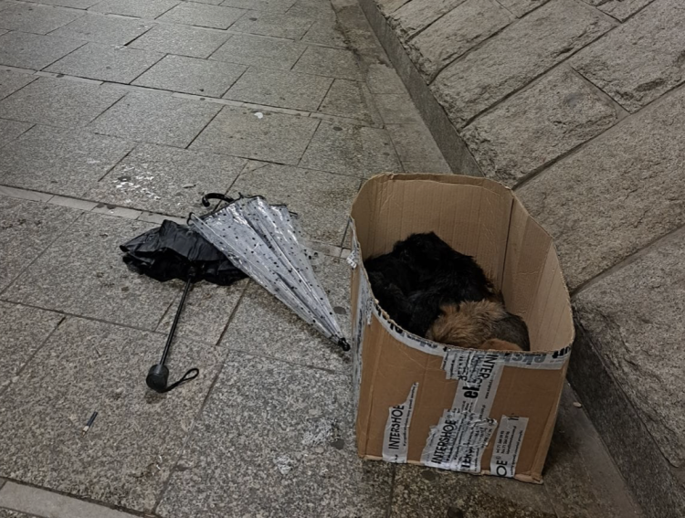 fot. TOZ Wrocław