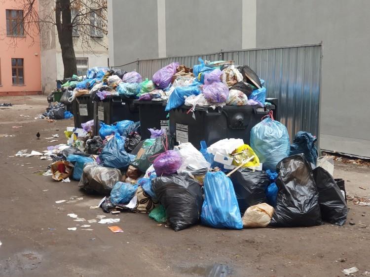 fot. Straż Miejska Wrocławia