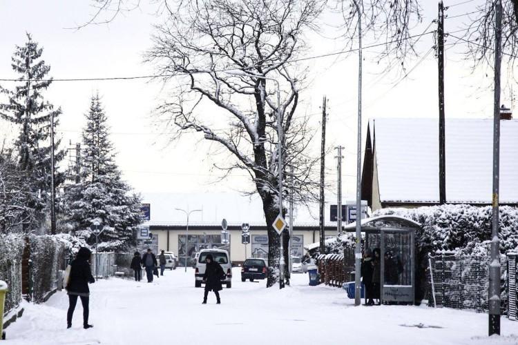 fot. fot. TuWroclaw.com