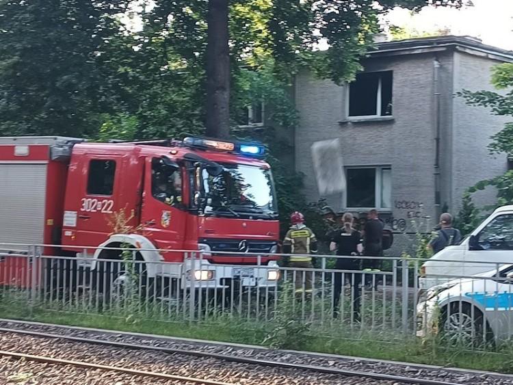 fot. Andrzej Borek