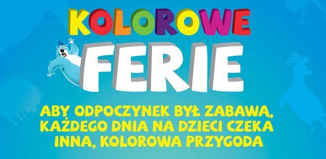 materiały organizatora